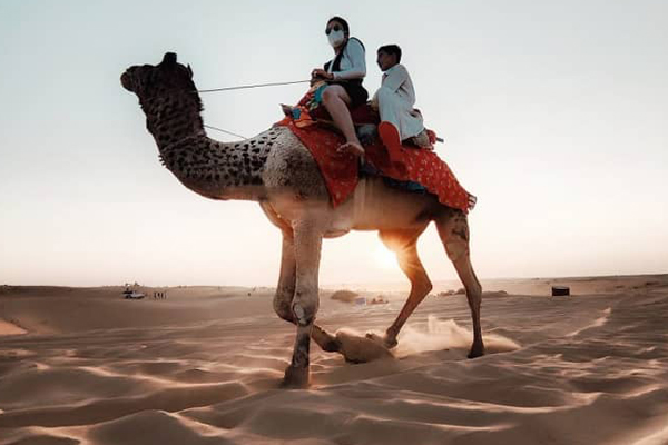 camel Safari